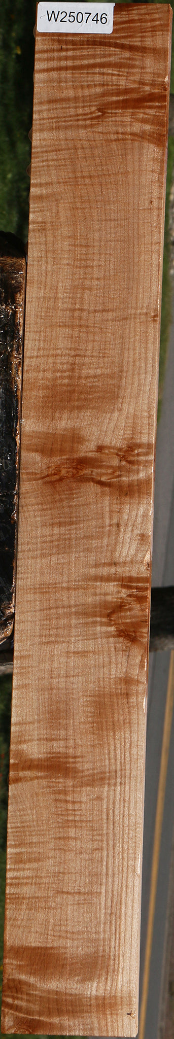 Extra Fancy Maple Lumber
