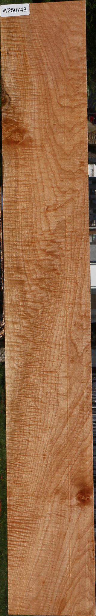 Extra Fancy Maple Micro Lumber