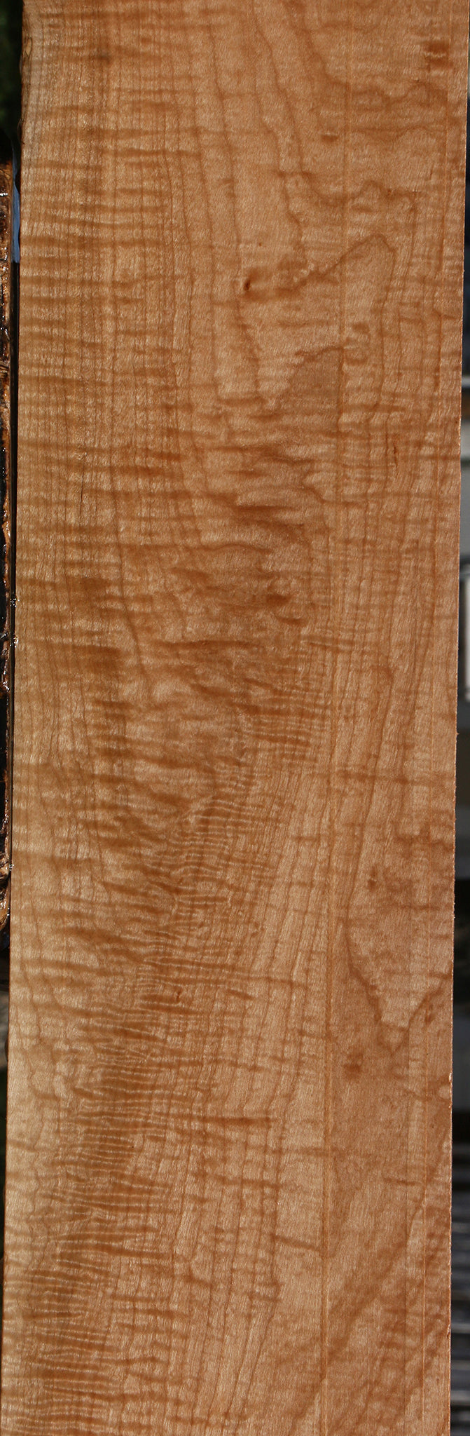 Extra Fancy Maple Micro Lumber