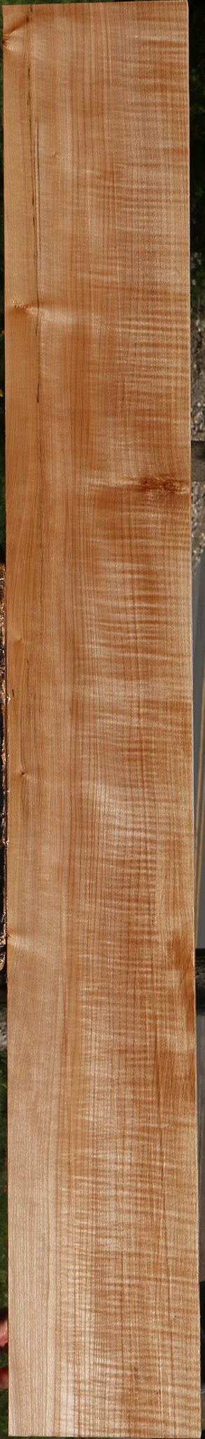 Extra Fancy Maple Lumber
