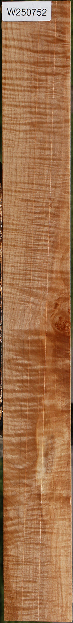 Extra Fancy Maple Micro Lumber – Cook Woods