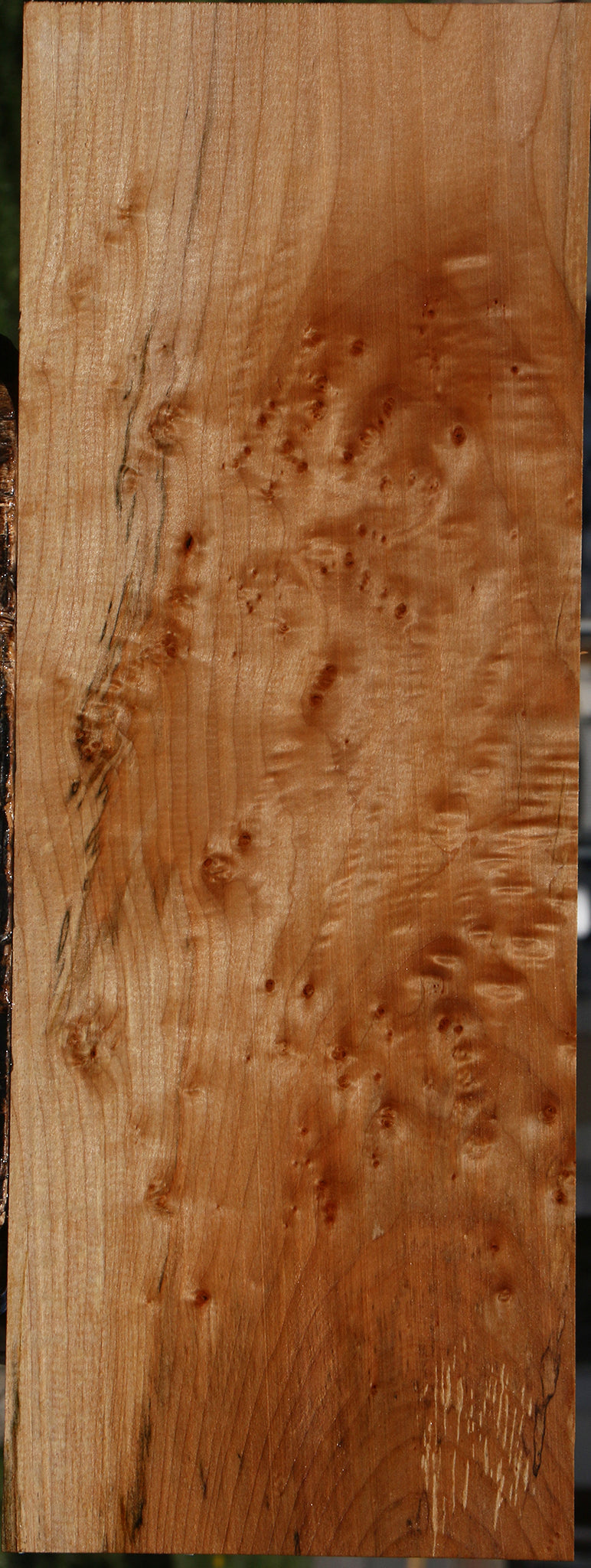 Extra Fancy Maple Lumber