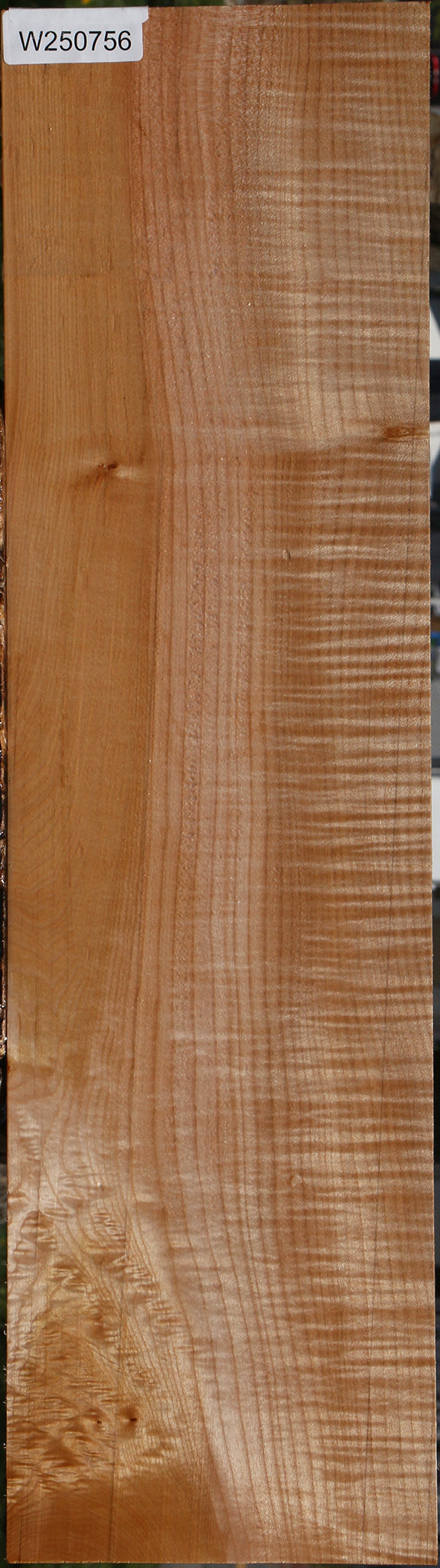 Extra Fancy Maple Lumber