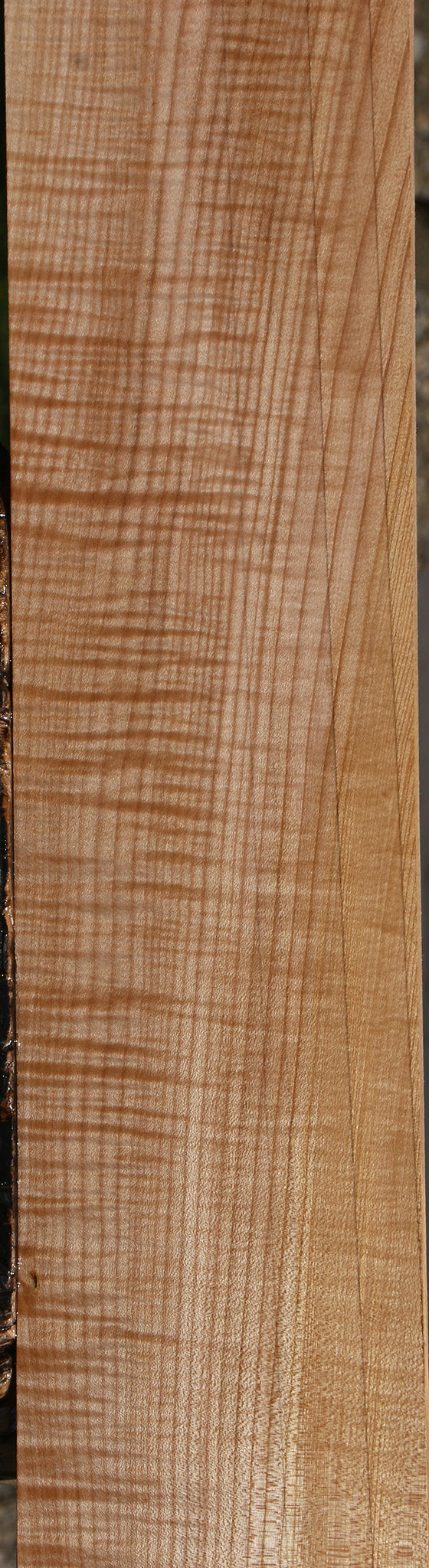 Extra Fancy Maple Lumber