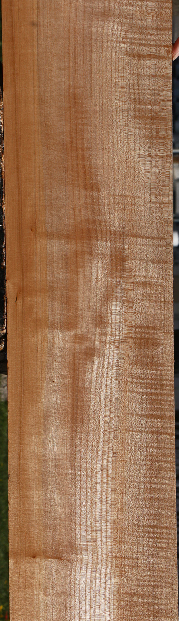 Extra Fancy Maple Lumber