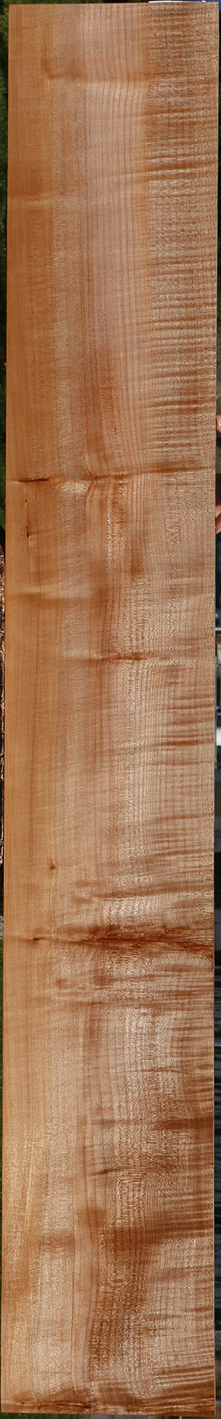 Extra Fancy Maple Lumber