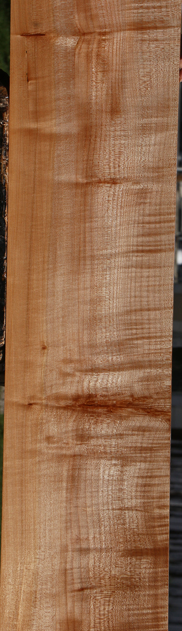 Extra Fancy Maple Lumber