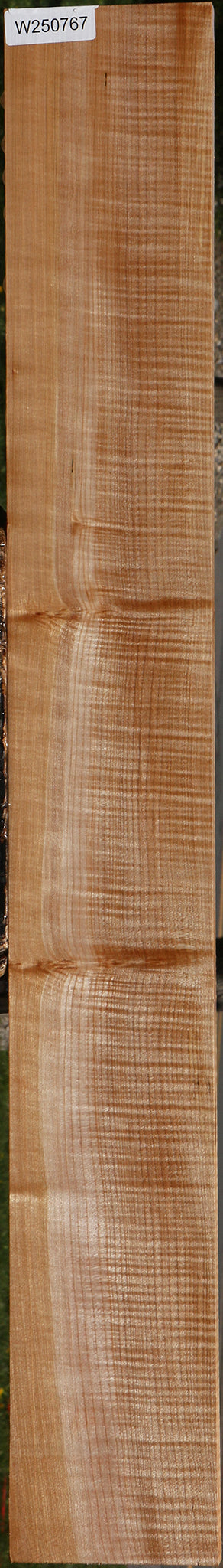 Extra Fancy Maple Lumber