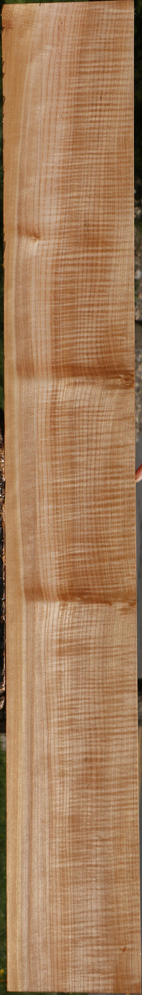Extra Fancy Maple Lumber