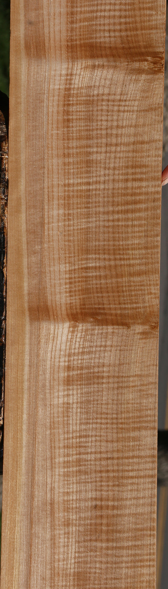 Extra Fancy Maple Lumber