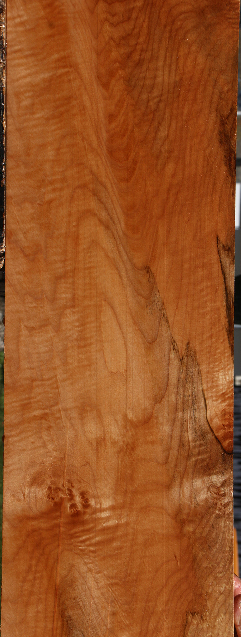 Extra Fancy Maple Lumber