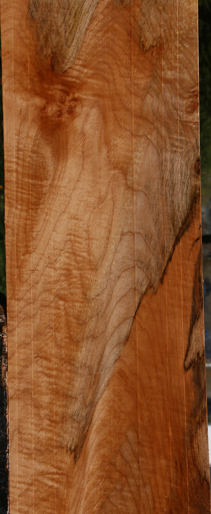Extra Fancy Maple Lumber
