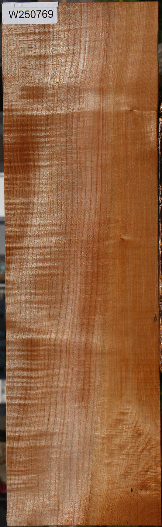 Extra Fancy Maple Lumber