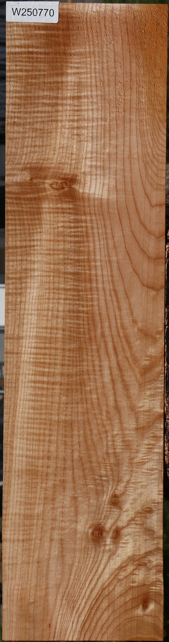 Extra Fancy Maple Lumber