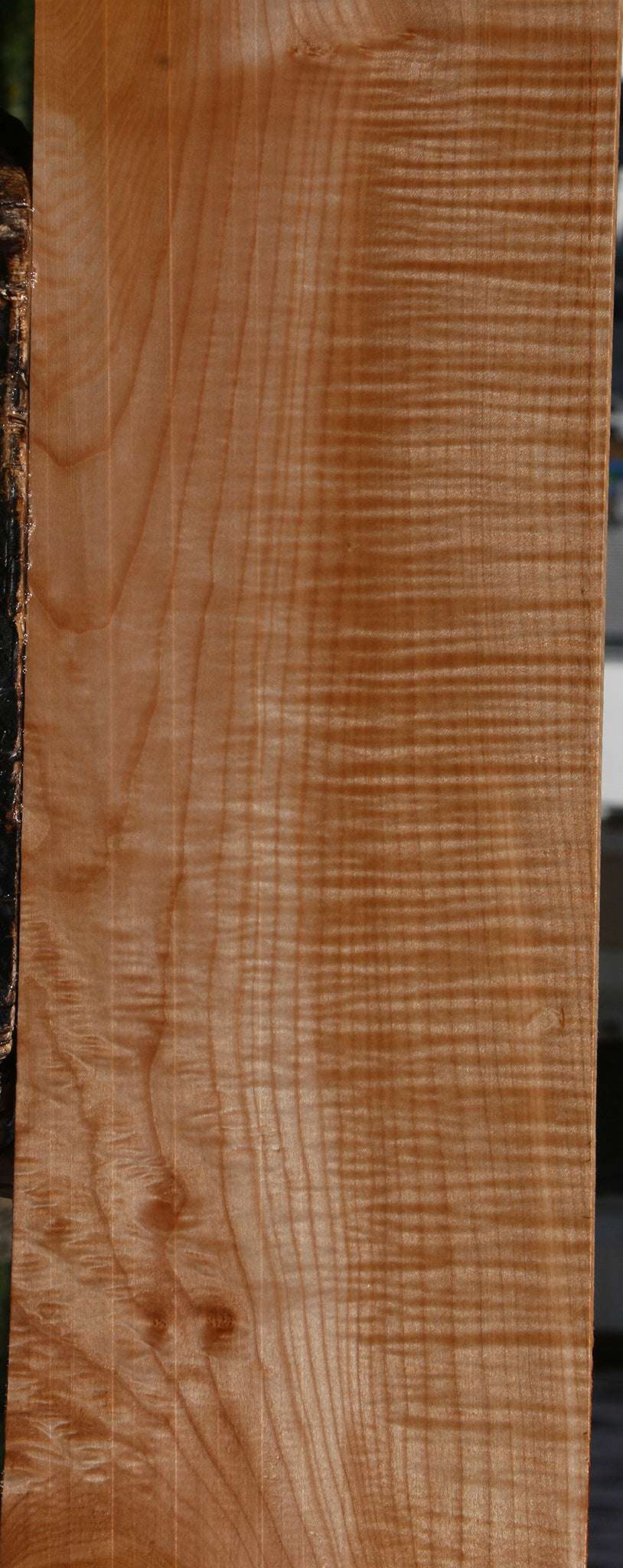 Extra Fancy Maple Lumber