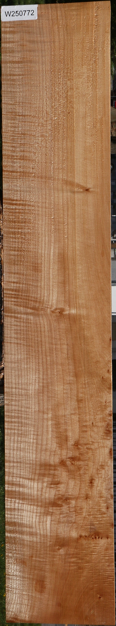 Figured Maple Micro Lumber