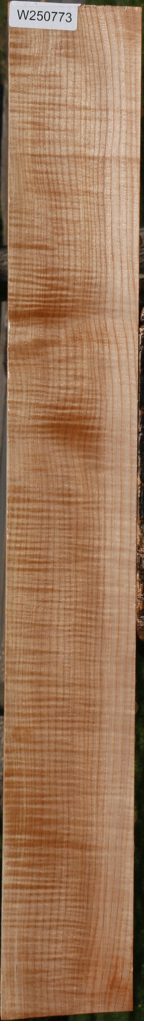 Extra Fancy Maple Lumber