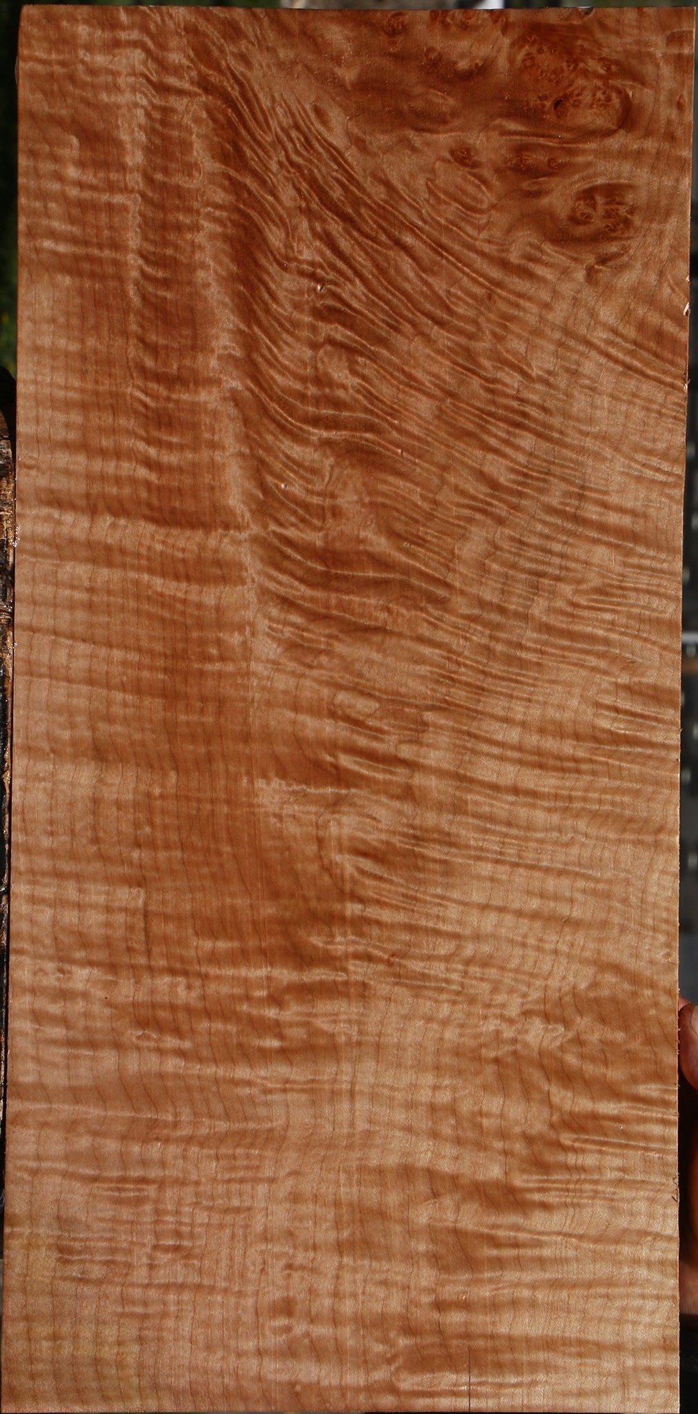 Extra Fancy Maple Instrument Lumber