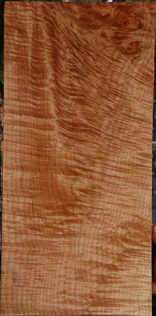 Extra Fancy Maple Instrument Lumber