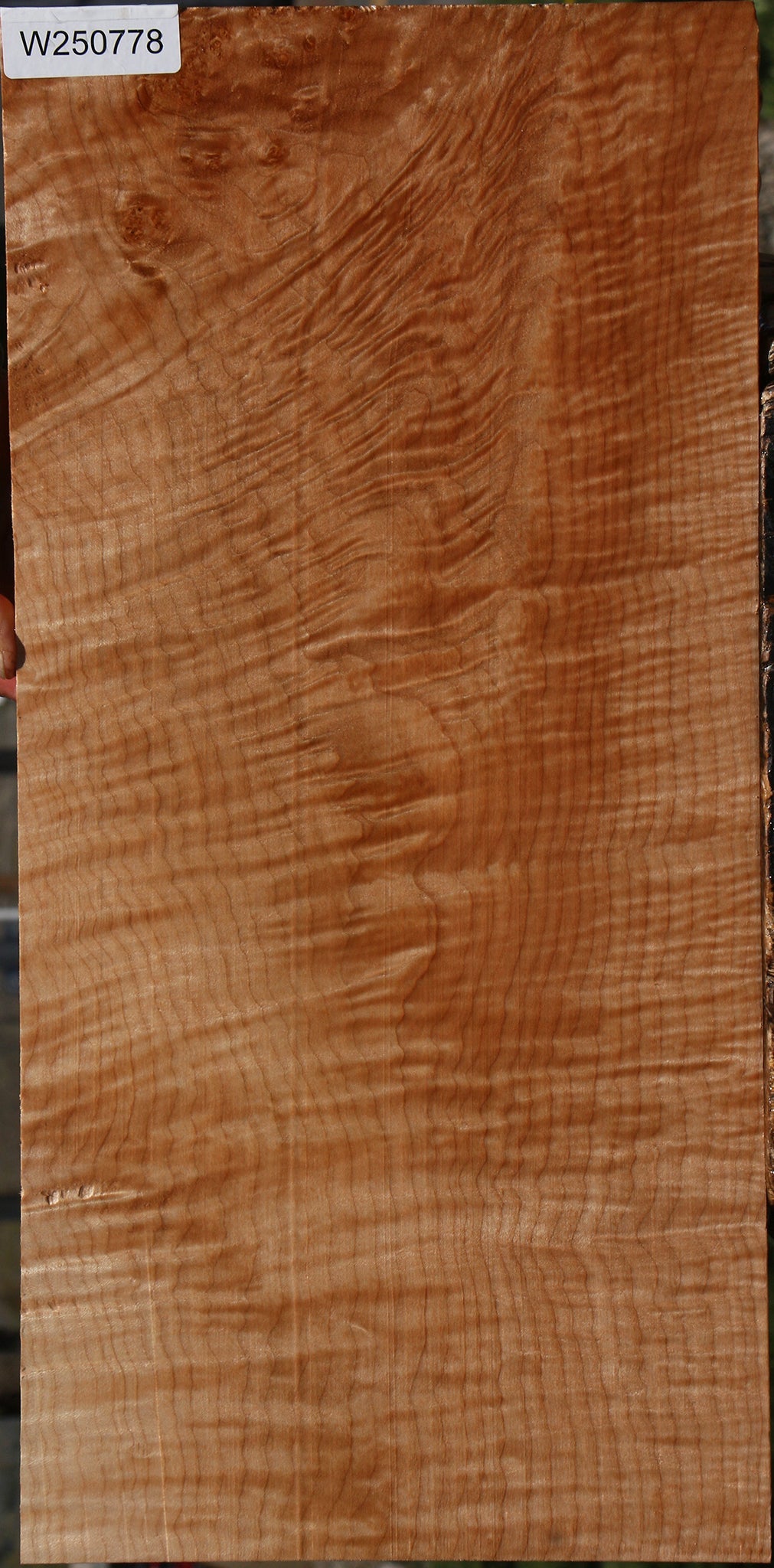 Extra Fancy Maple Instrument Lumber