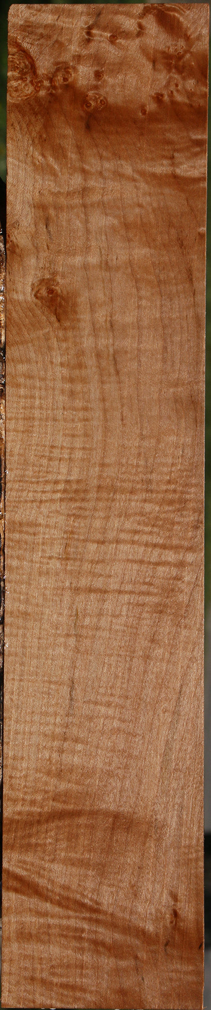 Extra Fancy Maple Lumber