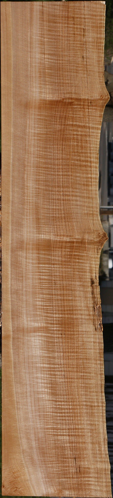 Extra Fancy Maple Live Edge Lumber