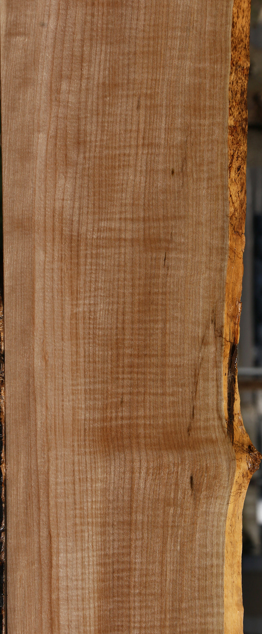 Extra Fancy Maple Live Edge Lumber