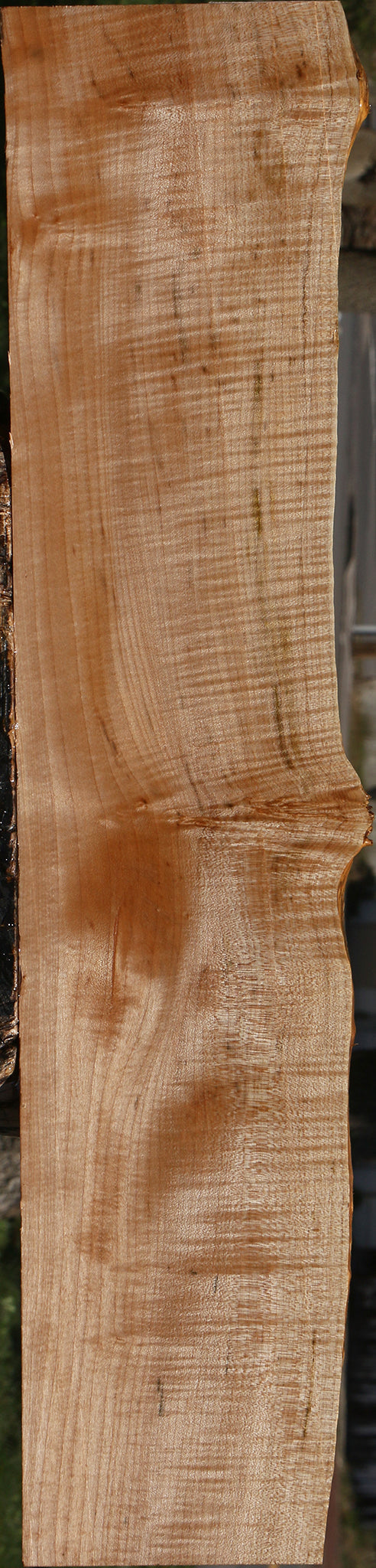 Extra Fancy Maple Live Edge Micro Lumber