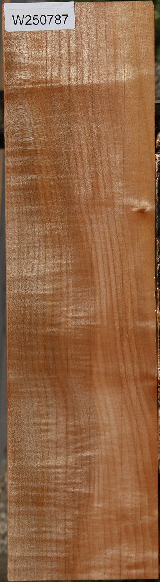 Extra Fancy Maple Micro Lumber