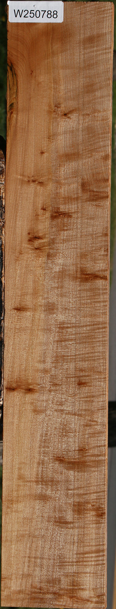 Extra Fancy Maple Lumber