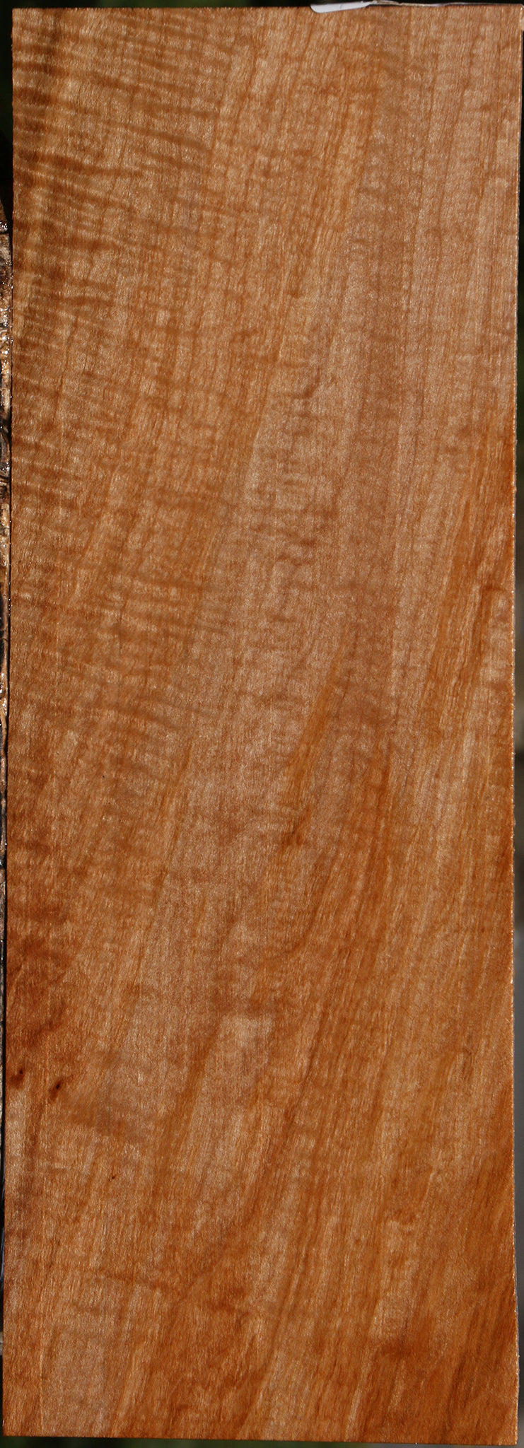 Extra Fancy Maple Lumber