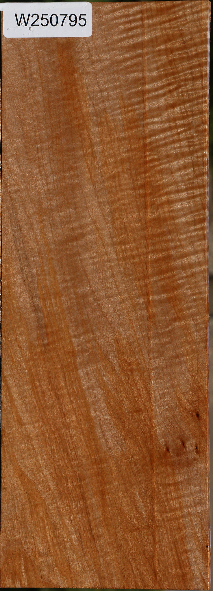 Extra Fancy Maple Lumber
