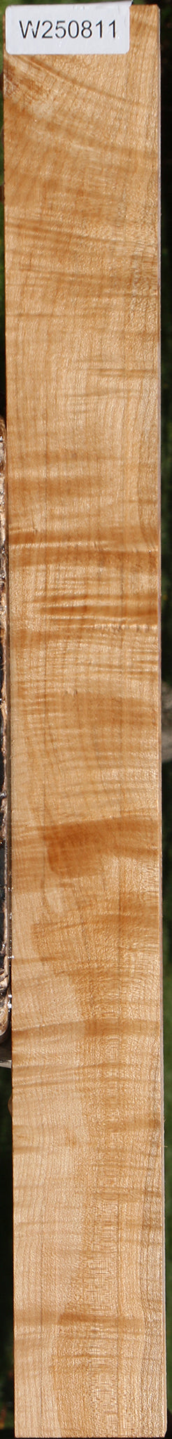 Extra Fancy Maple Lumber