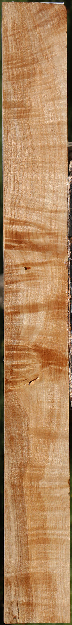Extra Fancy Maple Lumber