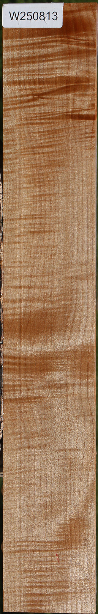 Extra Fancy Maple Micro Lumber