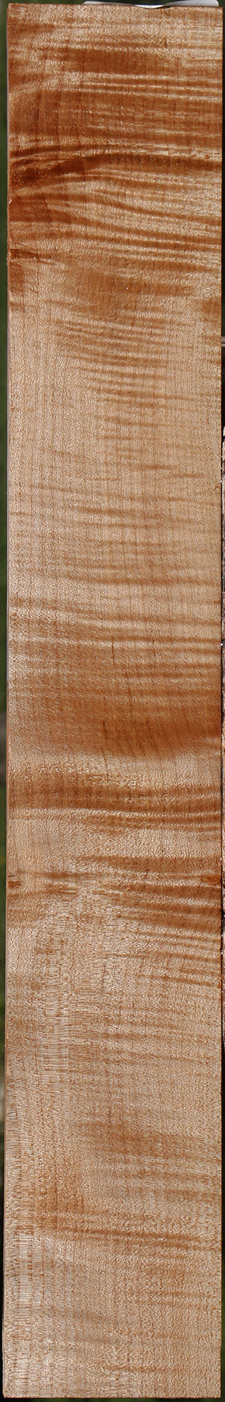 Extra Fancy Maple Micro Lumber