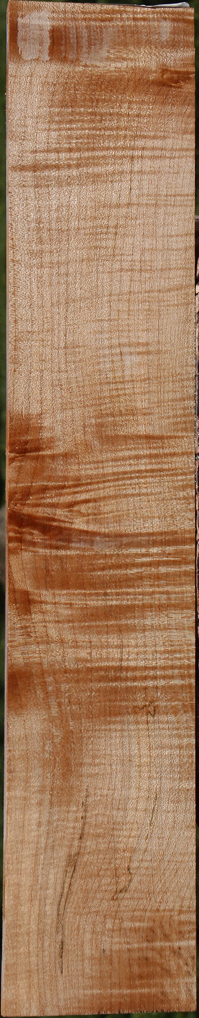 Extra Fancy Maple Lumber