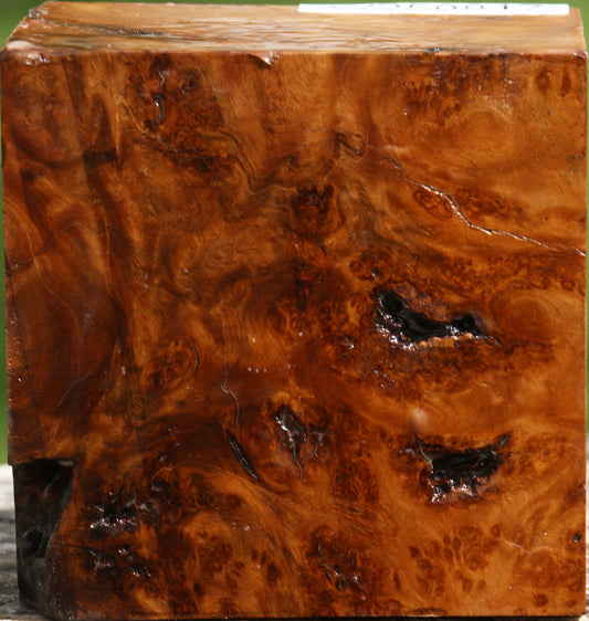 Asian Satinwood Burl Bowl Blank