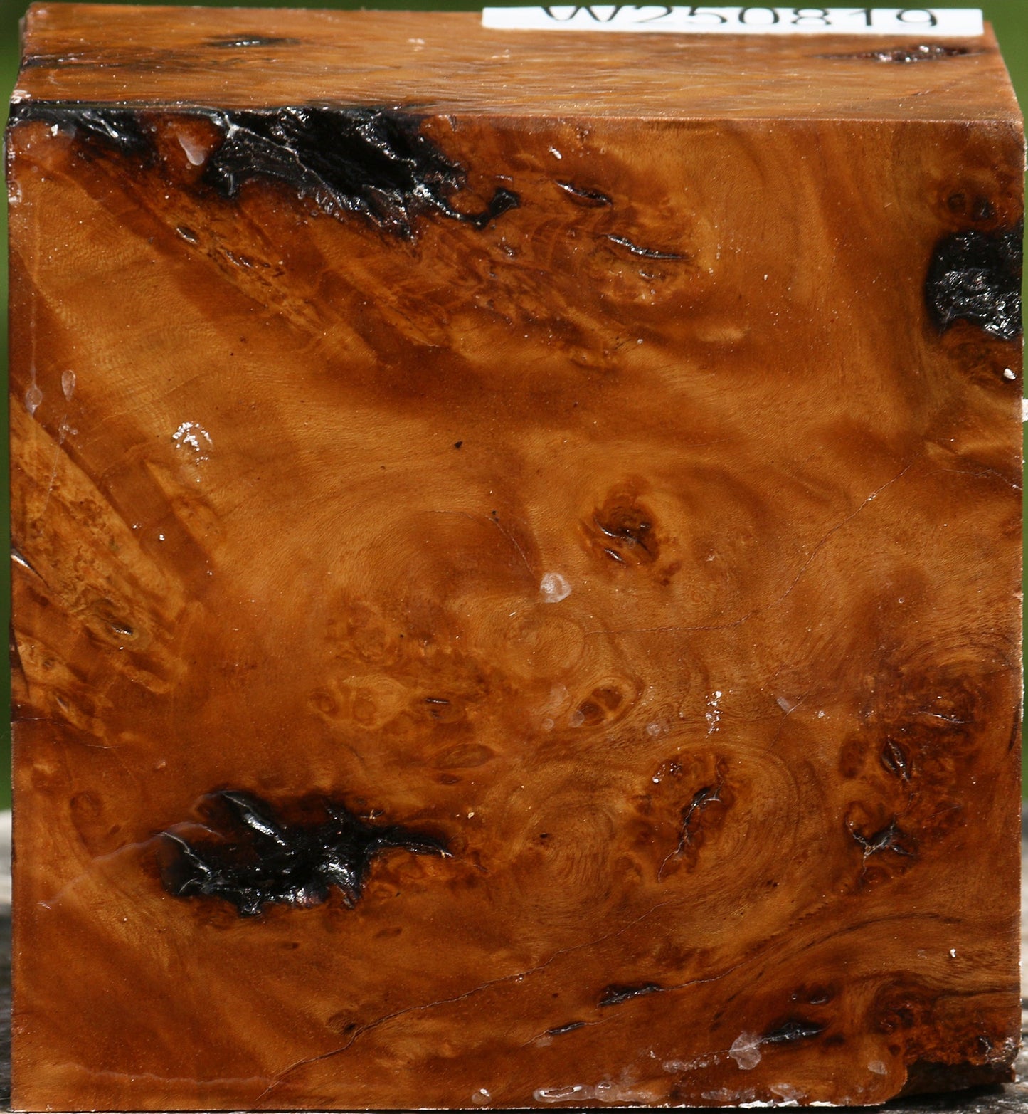 Hopea Stone Burl Bowl Blank