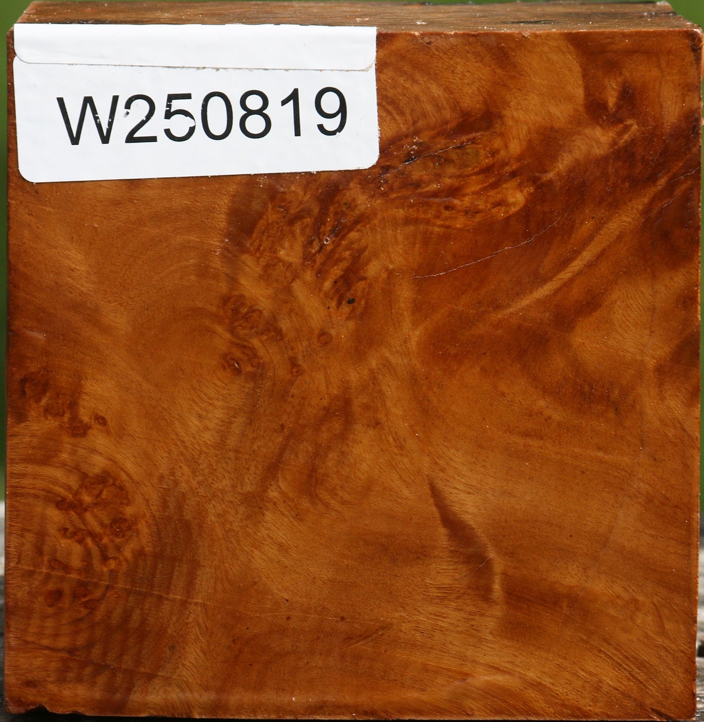 Hopea Stone Burl Bowl Blank