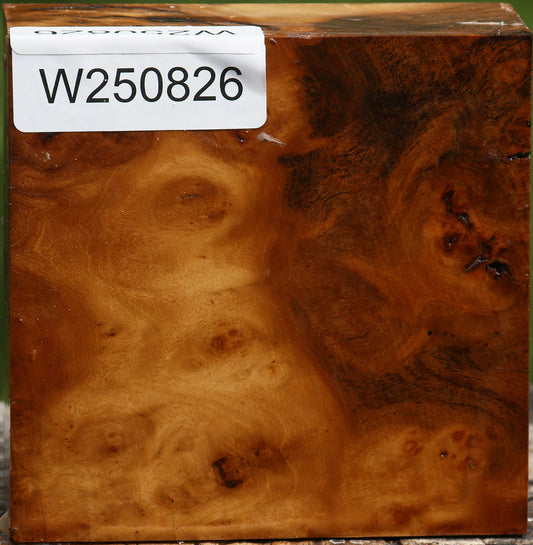 Almond Burl Bowl Blank