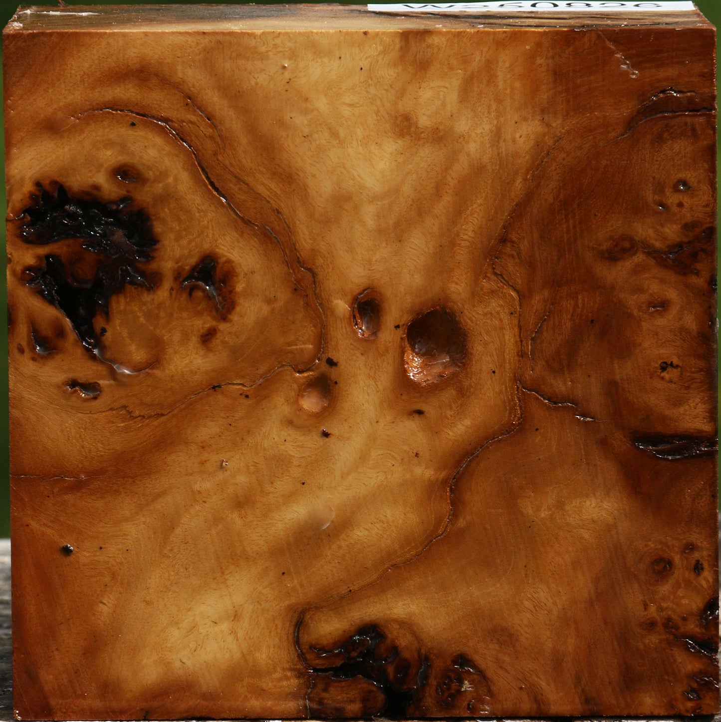 Almond Burl Bowl Blank