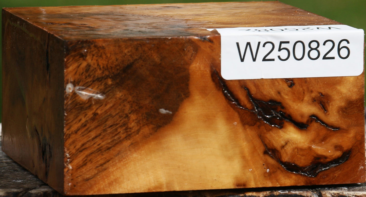 Almond Burl Bowl Blank