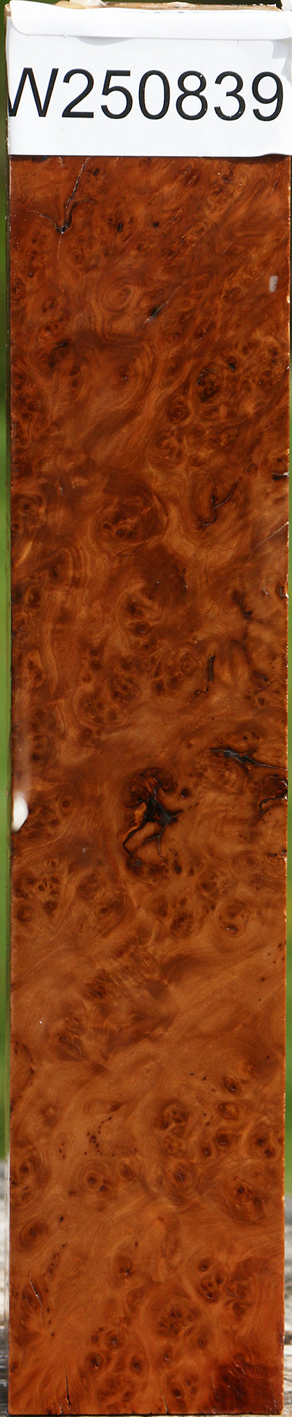 Hopea Stone Burl Turning Square