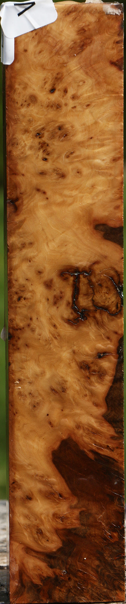 Hopea Stone Burl Turning Square