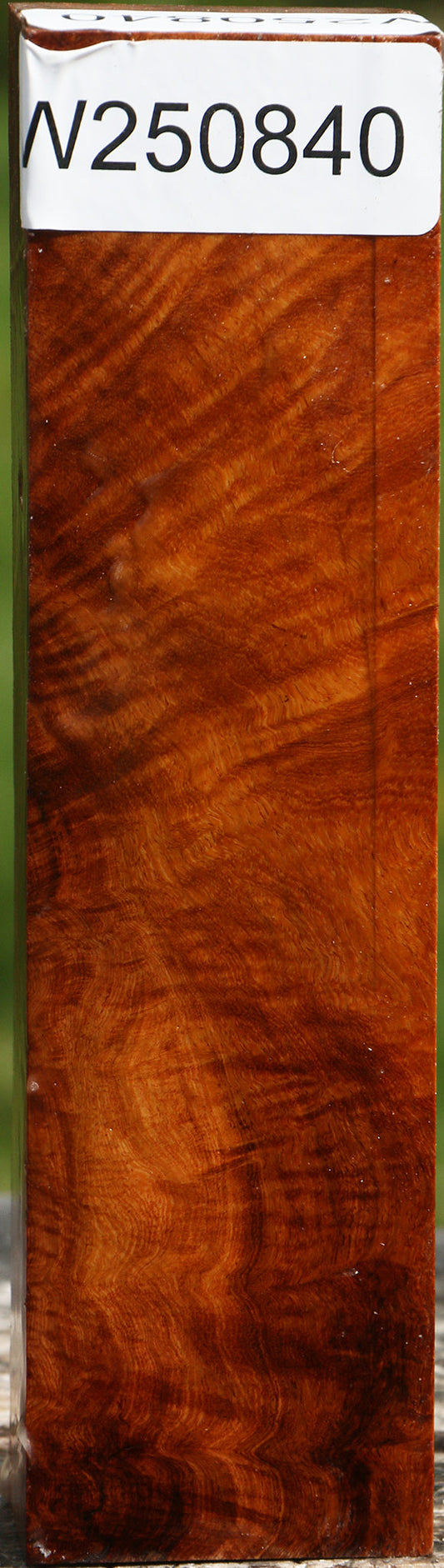 Asian Iron Burl Turning Blank