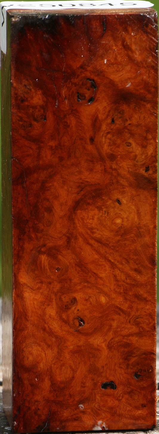 Asian Iron Burl Turning Square