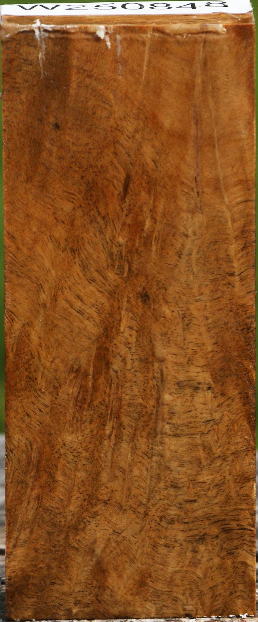 Hopea Stone Burl Turning Blank