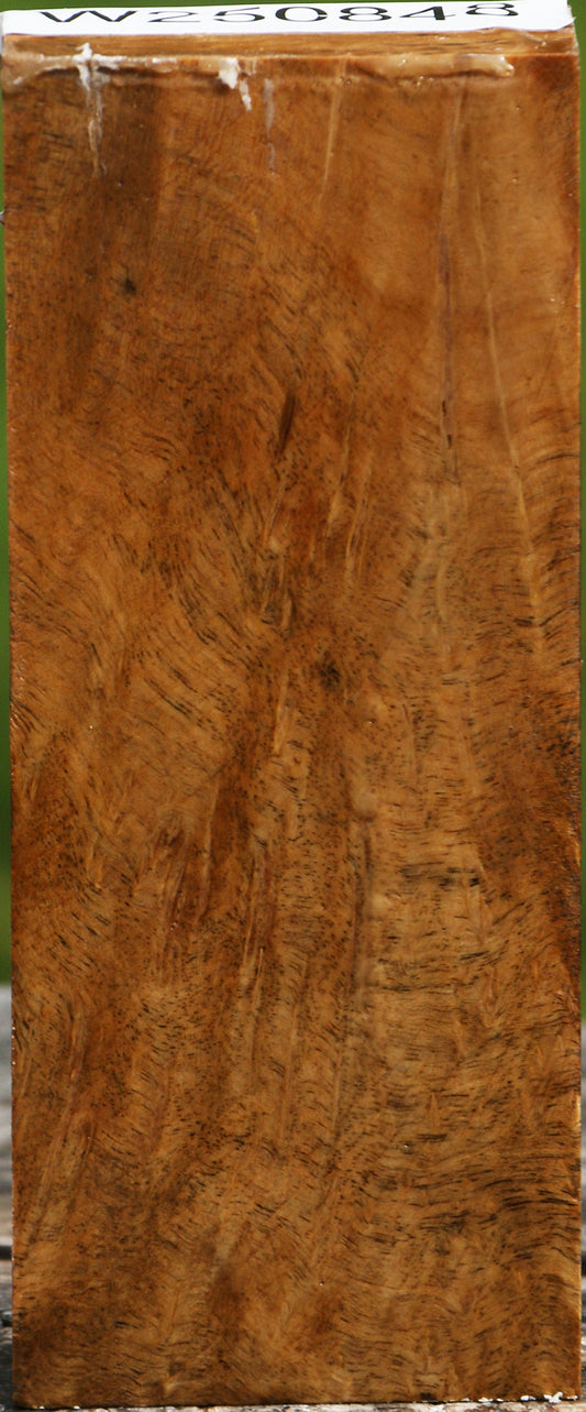 Hopea Stone Burl Turning Blank