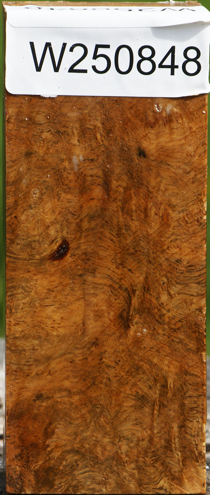 Hopea Stone Burl Turning Blank